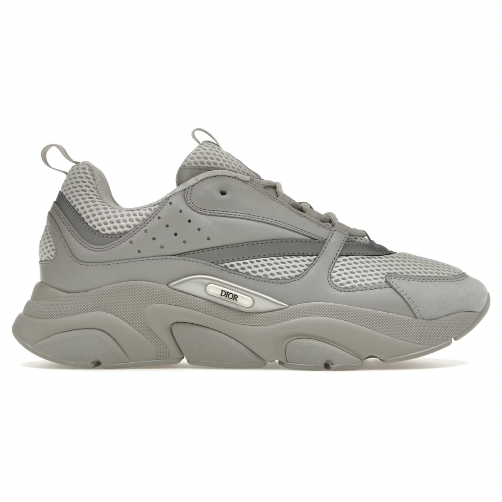 Dior B22 Grises